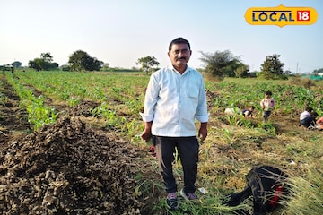शेतात केला सोपा प्रयोग, अद्रक लागवडीचा प्रयोग ठरला हिट, वर्षाला 7 लाखांची कमाई शेतात केला सोपा प्रयोग, अद्रक लागवडीचा प्रयोग ठरला हिट, वर्षाला 7 लाखांची कमाई