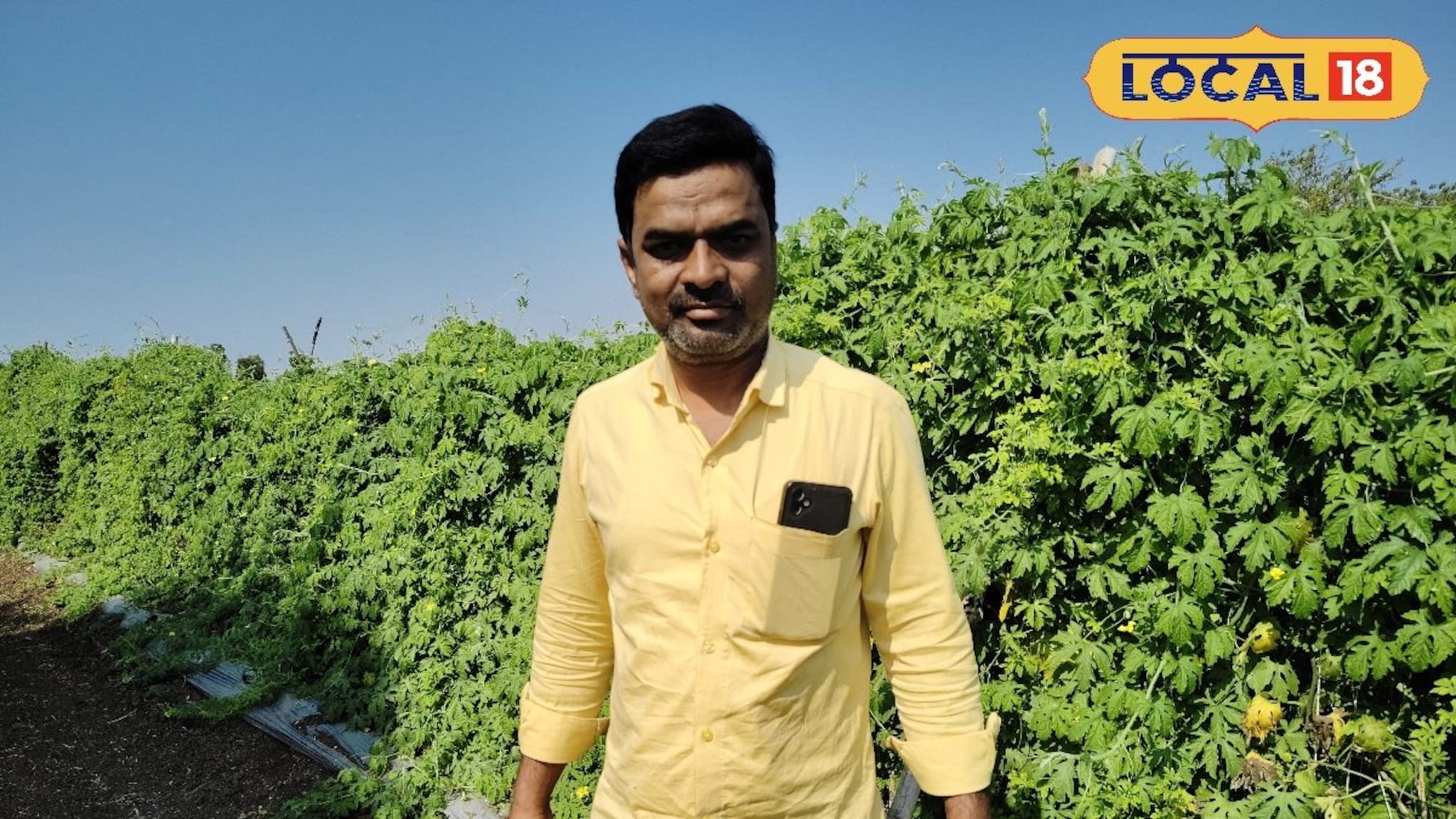 Success Story : कारले शेती गोड प्रयोग, वर्षाला 15 लाखांचं उत्पन्न, शेतकऱ्याची भन्नाट आयडिया!