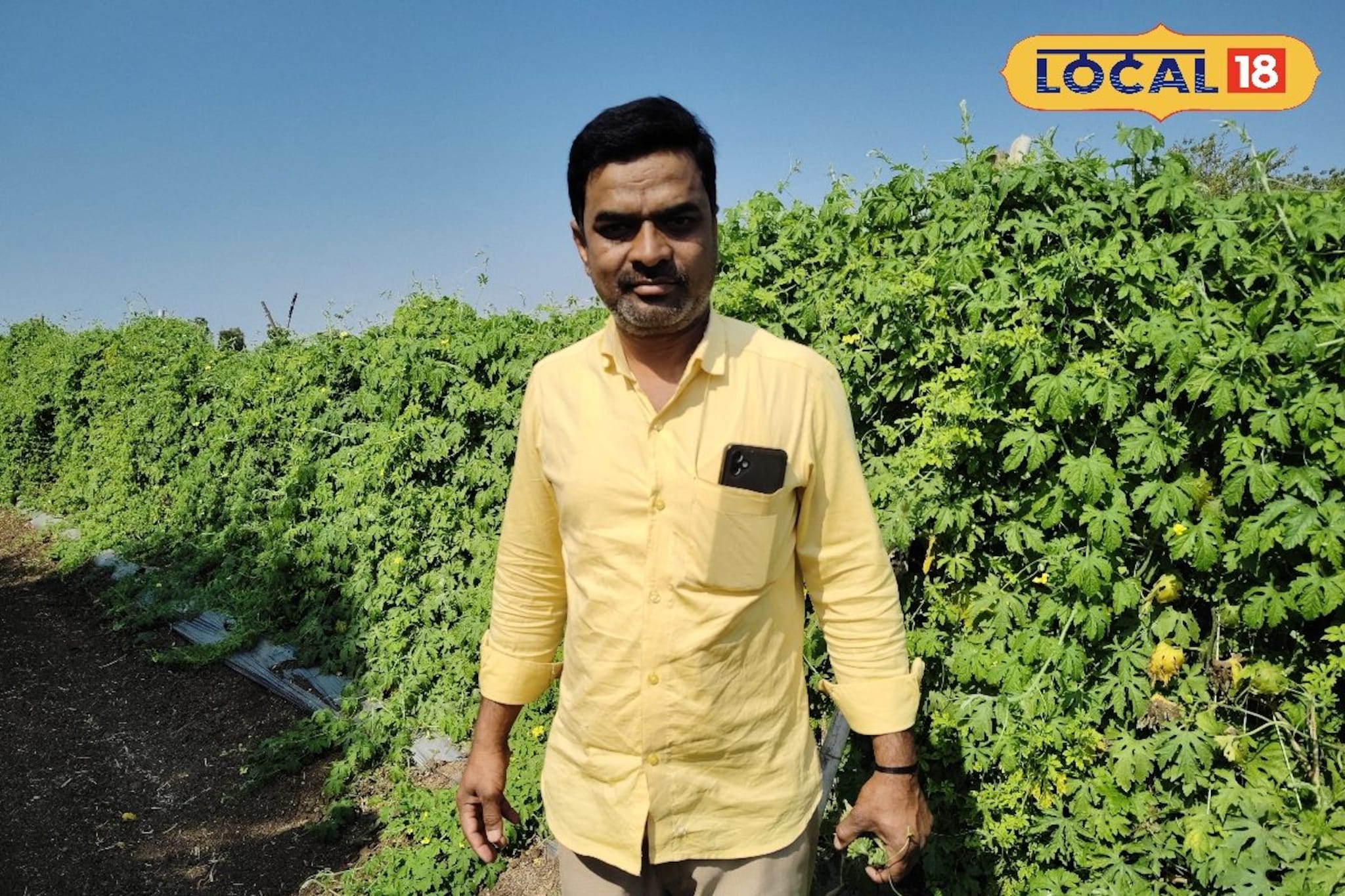 कारले शेती गोड प्रयोग, वर्षाला 15 लाखांचं उत्पन्न, शेतकऱ्याची भन्नाट आयडिया!