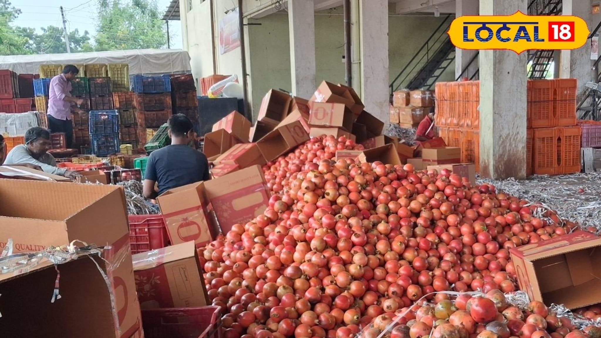 APMC Market: आल्याचे दर पुन्हा तेजीत, डाळिंब आणि द्राक्षाला काय मिळाला भाव? Video