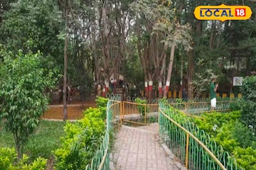 पिंपरी-चिंचवडकर मोकळा श्वास घ्या! 85 एकरात होतोय ‘ऑक्सिजन पार्क’, प्लॅन काय? पिंपरी-चिंचवडकर मोकळा श्वास घ्या! 85 एकरात होतोय ‘ऑक्सिजन पार्क’, प्लॅन काय?