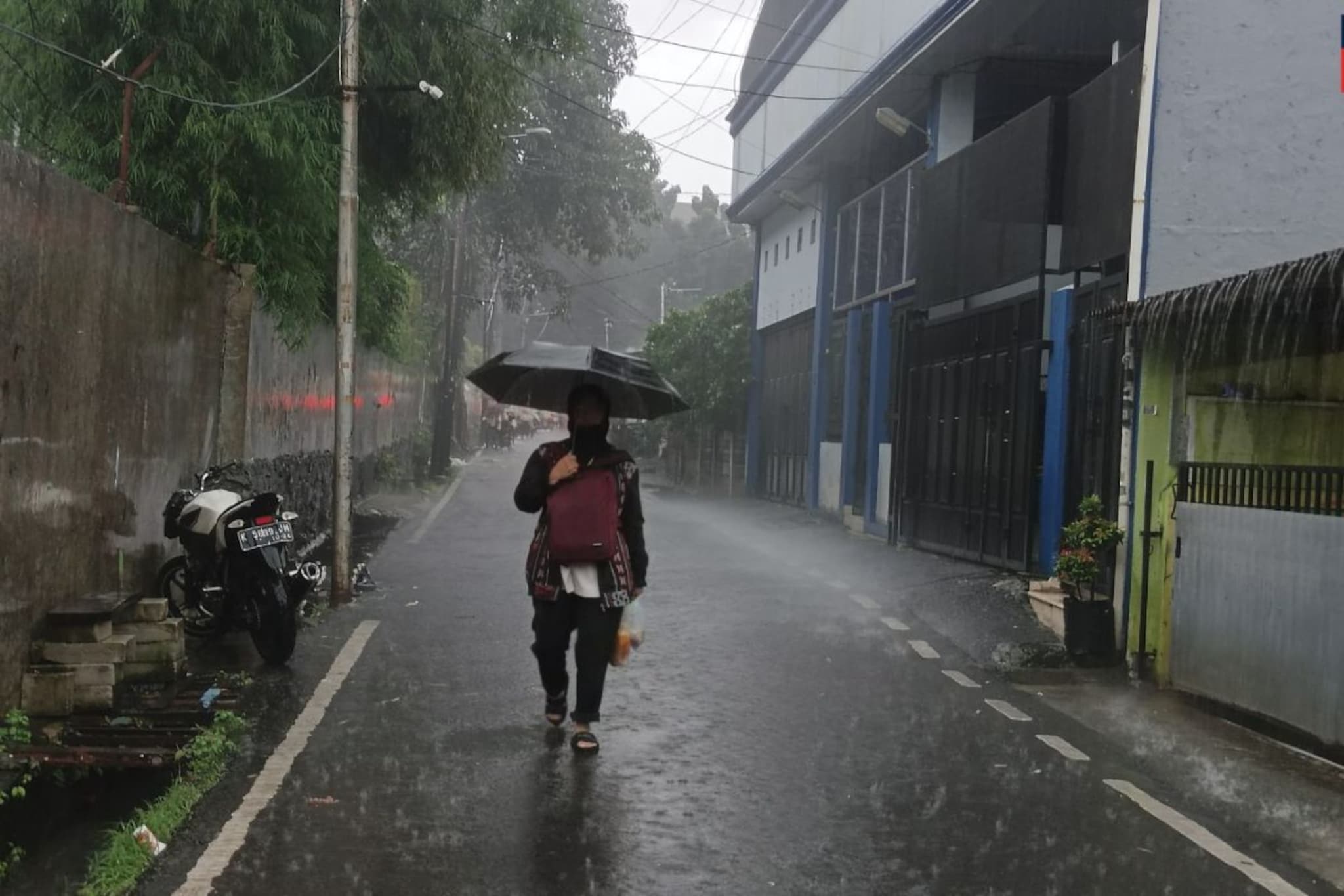 थंडी परतणार की उन्हाचा चटका वाढणार? महाराष्ट्राच्या हवामानात मोठे बदल