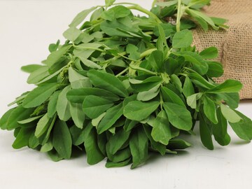 ऑफ सिजनमध्येही खाता येईल मेथी! या पद्धतींनी करा स्टोअर, दीर्घकाळ होणार नाही खराब