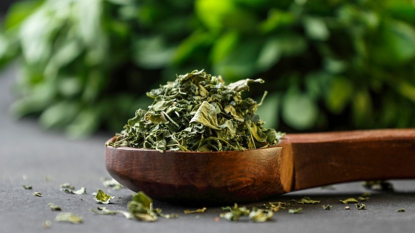 दाल मखनी, पनीरची भाजी असे कित्येक पदार्थ आहेत, ज्यांच्यामध्ये चिमूटभर कसुरी मेथी टाकली की त्यांची चव वाढते. सामान्यपणे आपण ती बाजारातून खरेदी करतो, पण तुम्हाला माहित आहे का की घरी बनवलेली कसुरी मेथी दुकानातून मिळवलेल्या कसुरी मेथीपेक्षाही अधिक सुगंधी आणि शुद्ध असते. फक्त तीन टप्प्यांत कसुरी मेथी बनवून तुम्ही ती वर्षभर साठवून ठेवू शकता. दाल मखनी, पनीरची भाजी असे कित्येक पदार्थ आहेत, ज्यांच्यामध्ये चिमूटभर कसुरी मेथी टाकली की त्यांची चव वाढते. सामान्यपणे आपण ती बाजारातून खरेदी करतो, पण तुम्हाला माहित आहे का की घरी बनवलेली कसुरी मेथी दुकानातून मिळवलेल्या कसुरी मेथीपेक्षाही अधिक सुगंधी आणि शुद्ध असते. फक्त तीन टप्प्यांत कसुरी मेथी बनवून तुम्ही ती वर्षभर साठवून ठेवू शकता.