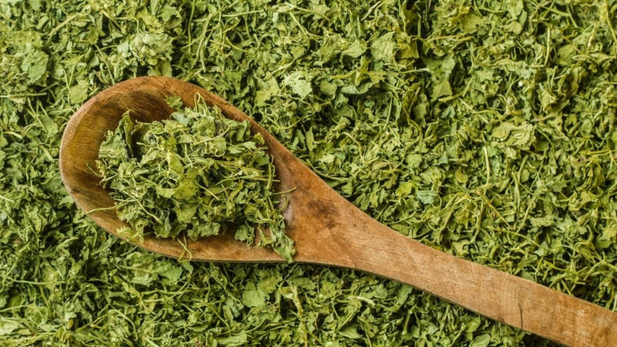 Kasuri Methi : सुगंधी कसुरी मेथी घरीच कशी बनवायची? फक्त 3 सोप्या स्टेप्स