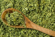 Kasuri Methi : सुगंधी कसुरी मेथी घरीच कशी बनवायची? फक्त 3 सोप्या स्टेप्स