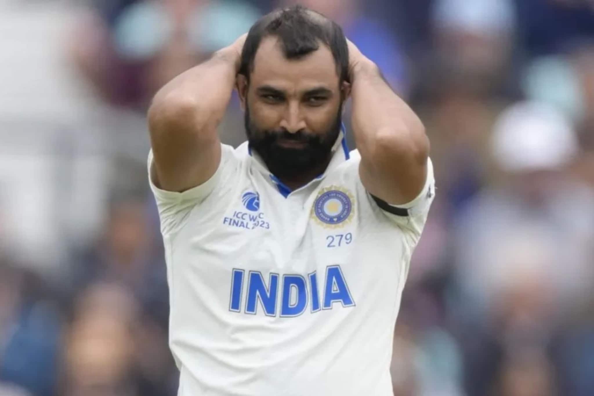 29 वर्षांचा खेळाडू शमीचं करिअर संपवणार? आधी IPL मध्ये बाजी, आता विकेटसचा पाऊस पा