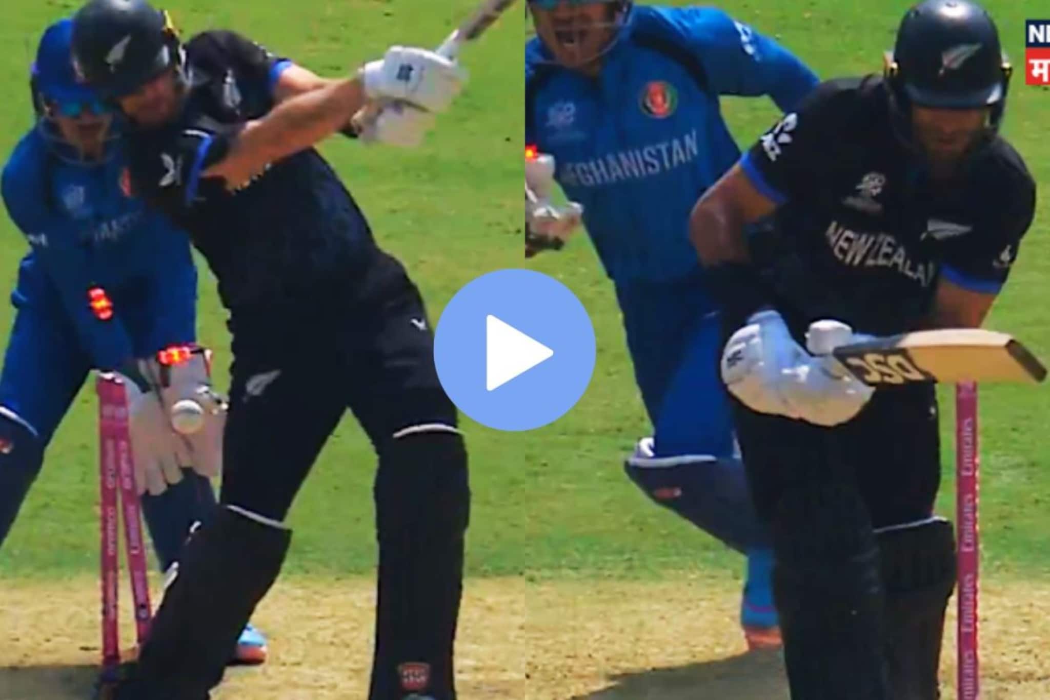 NZ vs AFG : मुजीबने सगळी ताकद लावली पण राशीद खानने केली घोडचूक!