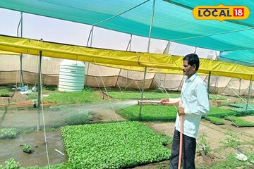 पारंपरिक शेतीला दिला फाटा, 20 गुंठ्यात उभारला नर्सरी व्यवसाय, वर्षाला 7 लाख कमाई