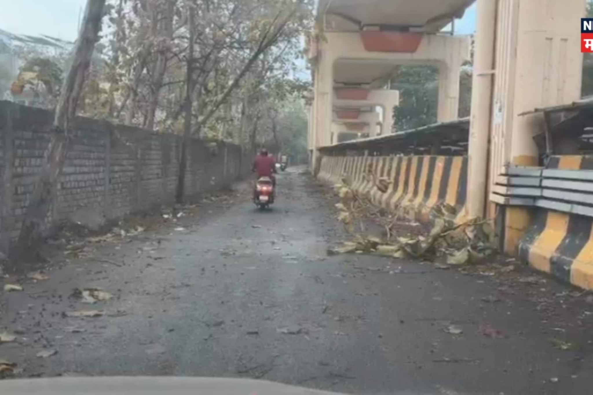 हवामानात मोठे बदल! विदर्भ-मराठवाड्यात पावसाचे सावट; मुंबई-पुण्यात उन्हाचा चटका