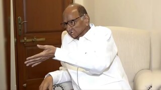 शरद पवार (ज्येष्ठ नेते)