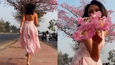 ओटीटीवरील फेमस मराठमोळी स्टार, अभिनेत्रीला पडली पिंक ट्रम्पेड झाडाची भुरळ; Video