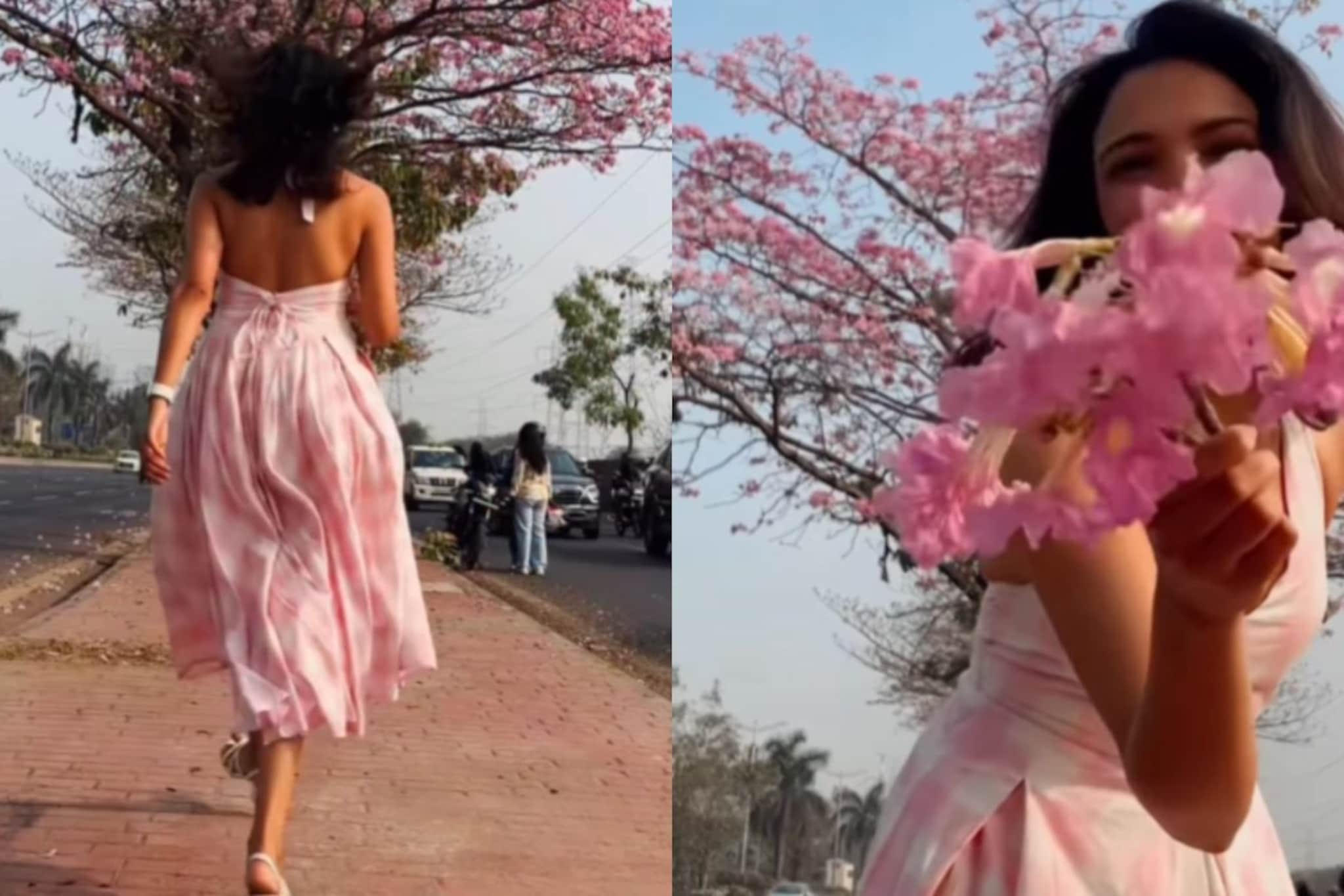 ओटीटीवरील फेमस मराठमोळी स्टार, अभिनेत्रीला पडली पिंक ट्रम्पेड झाडाची भुरळ; Video