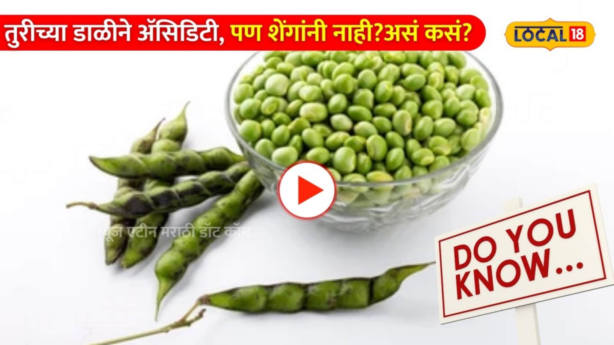 Do you know: तुरीच्या डाळीने ॲसिडिटी, पण शेंगांनी नाही? असं कसं? तज्ज्ञांनी उघड केलं यामागचं खरं 'सायन्स'! 