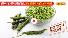 Do you know: तुरीच्या डाळीने ॲसिडिटी, पण शेंगांनी नाही? असं कसं? तज्ज्ञांनी उघड केलं यामागचं खरं 'सायन्स'! 