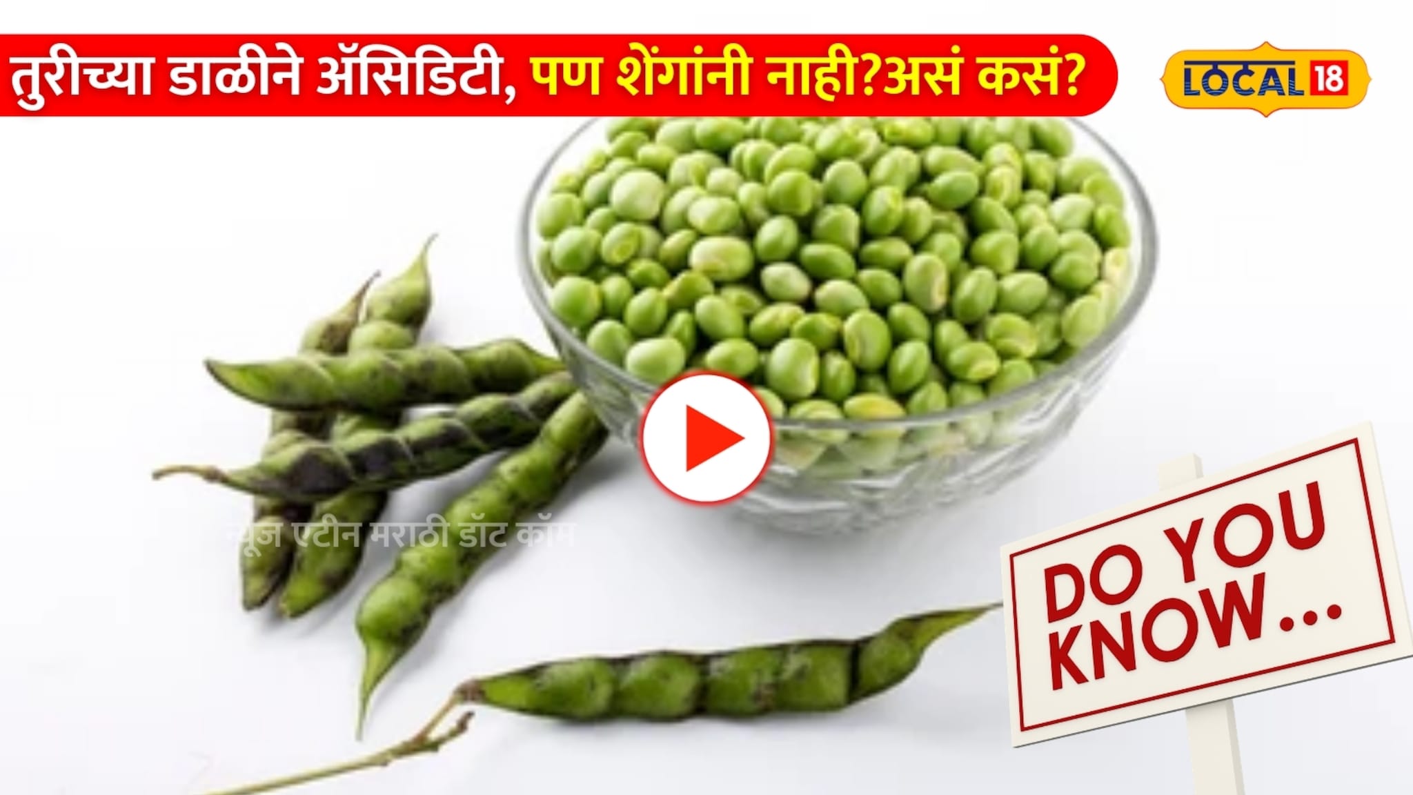 Do you know: तुरीच्या डाळीने ॲसिडिटी, पण शेंगांनी नाही? असं कसं? तज्ज्ञांनी उघड केलं यामागचं खरं 'सायन्स'! 