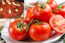 Tomato : टोमॅटोचा हलवा, विचित्र वाटेल पण अनेकांनी ट्राय केलाय, हा घ्या Recipe Video