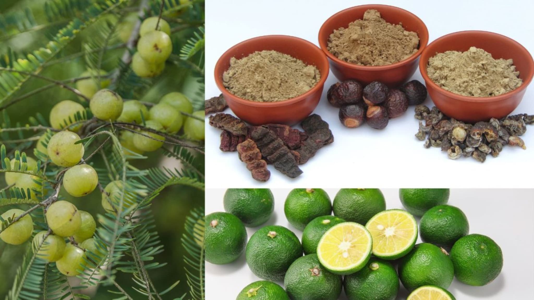 Hair Care : मेंदी किंवा रंग न लावता करता येतील केस काळे, स्वस्त आणि सोपे उपाय वापरुन पाहा