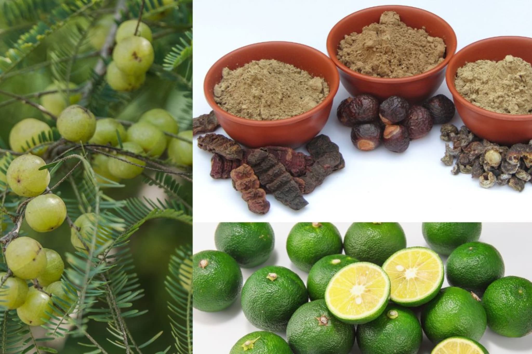 Hair Care : केस अकाली पांढरे झालेत ? वाचा केस काळे करण्यासाठी घरगुती उपाय