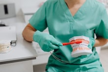 Dental Hygiene : दिवसातून किती वेळा दात घासावेत ? झोपण्यापूर्वी दात घासणं का महत्त्वाचं ? जाणून घ्या दातांच्या आरोग्याचा आणि हृदयरोगाचा संंबंध