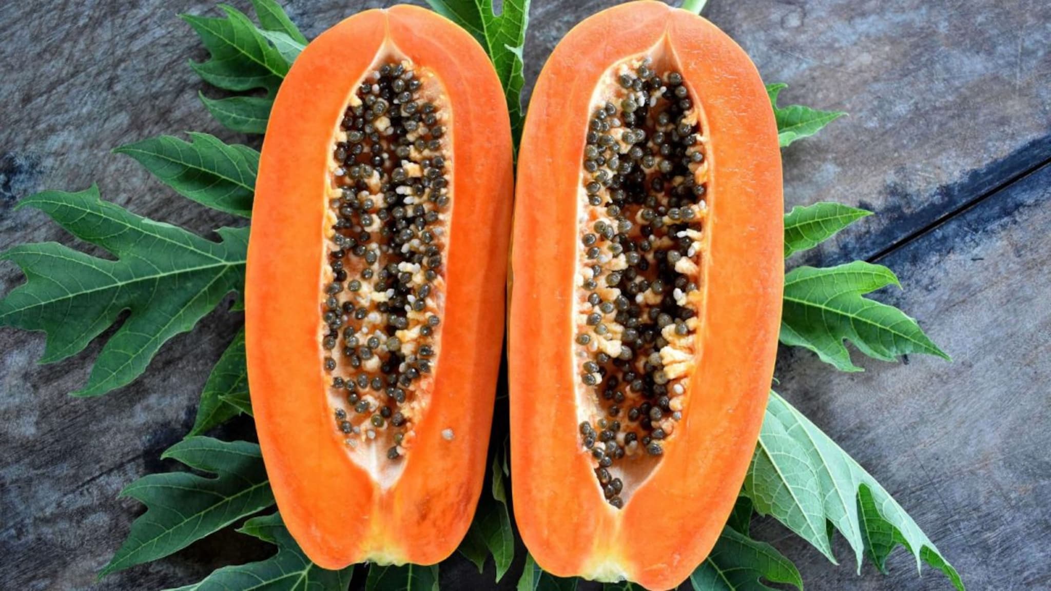 Papaya : शरीराच्या अनेक समस्यांवर रामबाण - पपई, शरीराला संजीवनी देणारं गुणकारी झाड