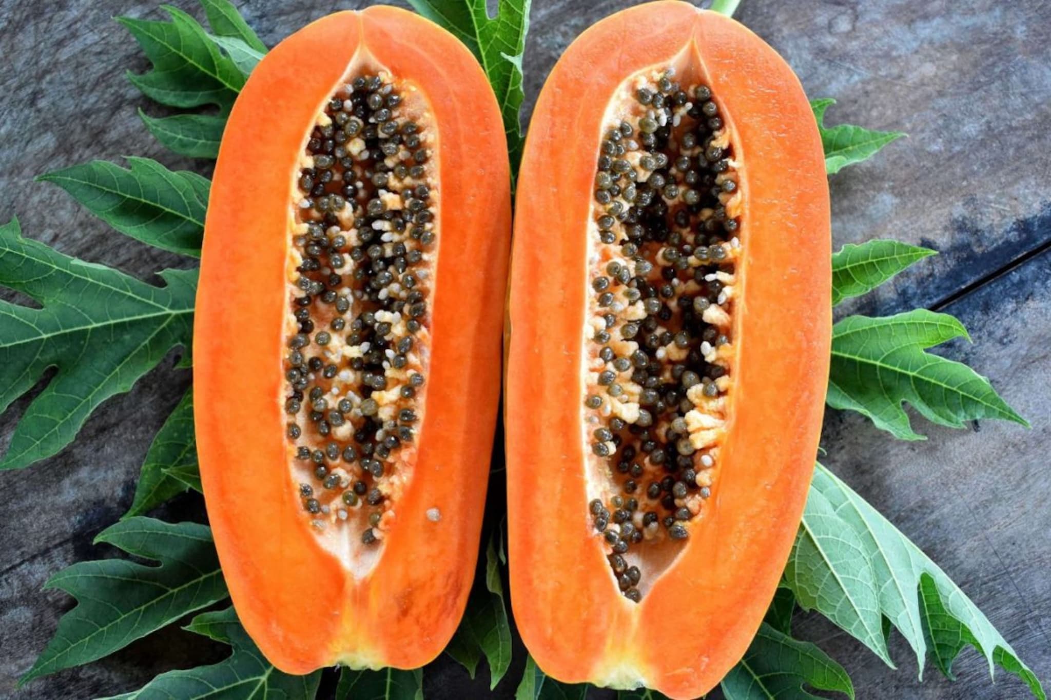 Papaya : पपईला अमृतफळ का म्हणतात ? जाणून घ्या पपईच्या घटकांचं महत्त्व