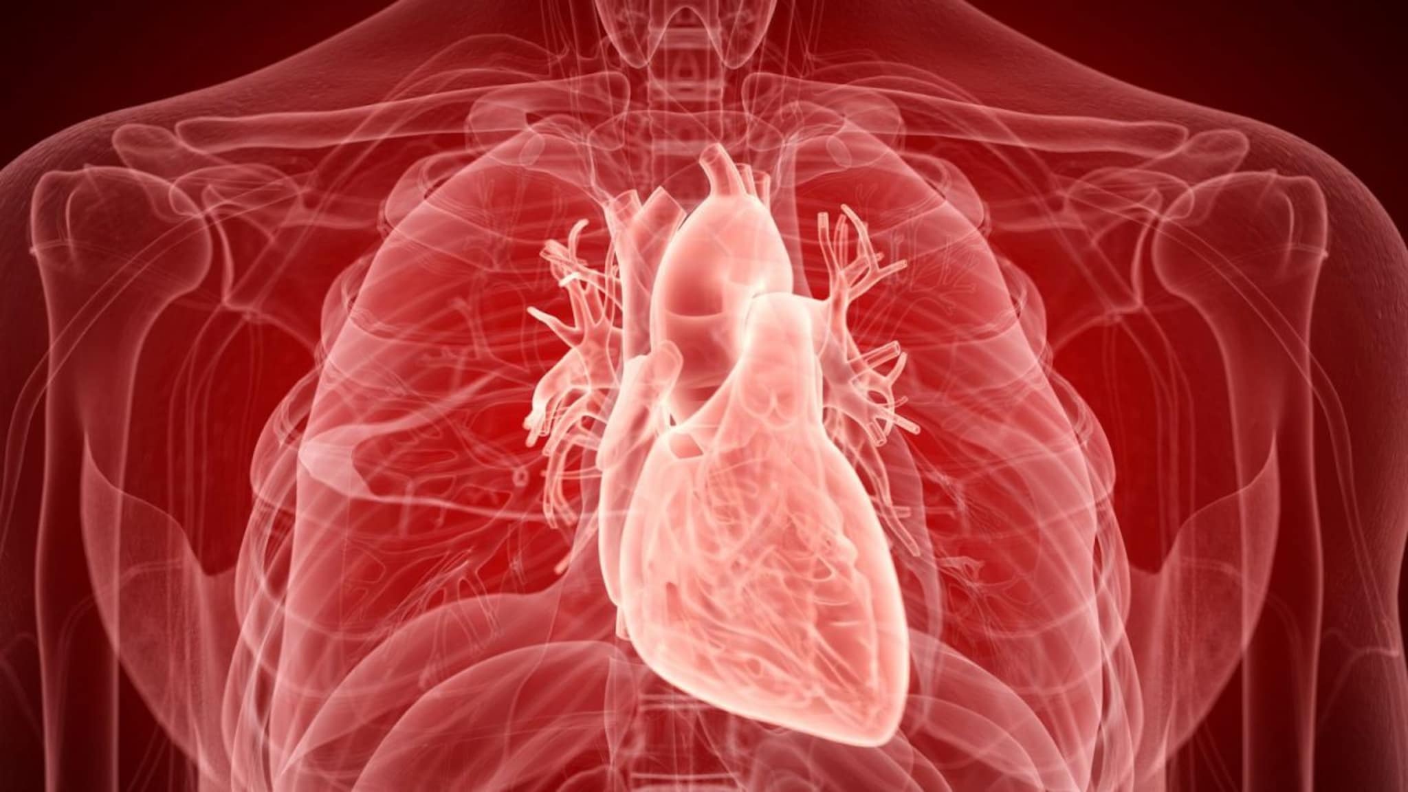 Heart Disease :हृदय-धमन्यांचं रिपोर्ट कार्ड, चार पद्धतींमुळे कळेल हृदयाची स्थिती