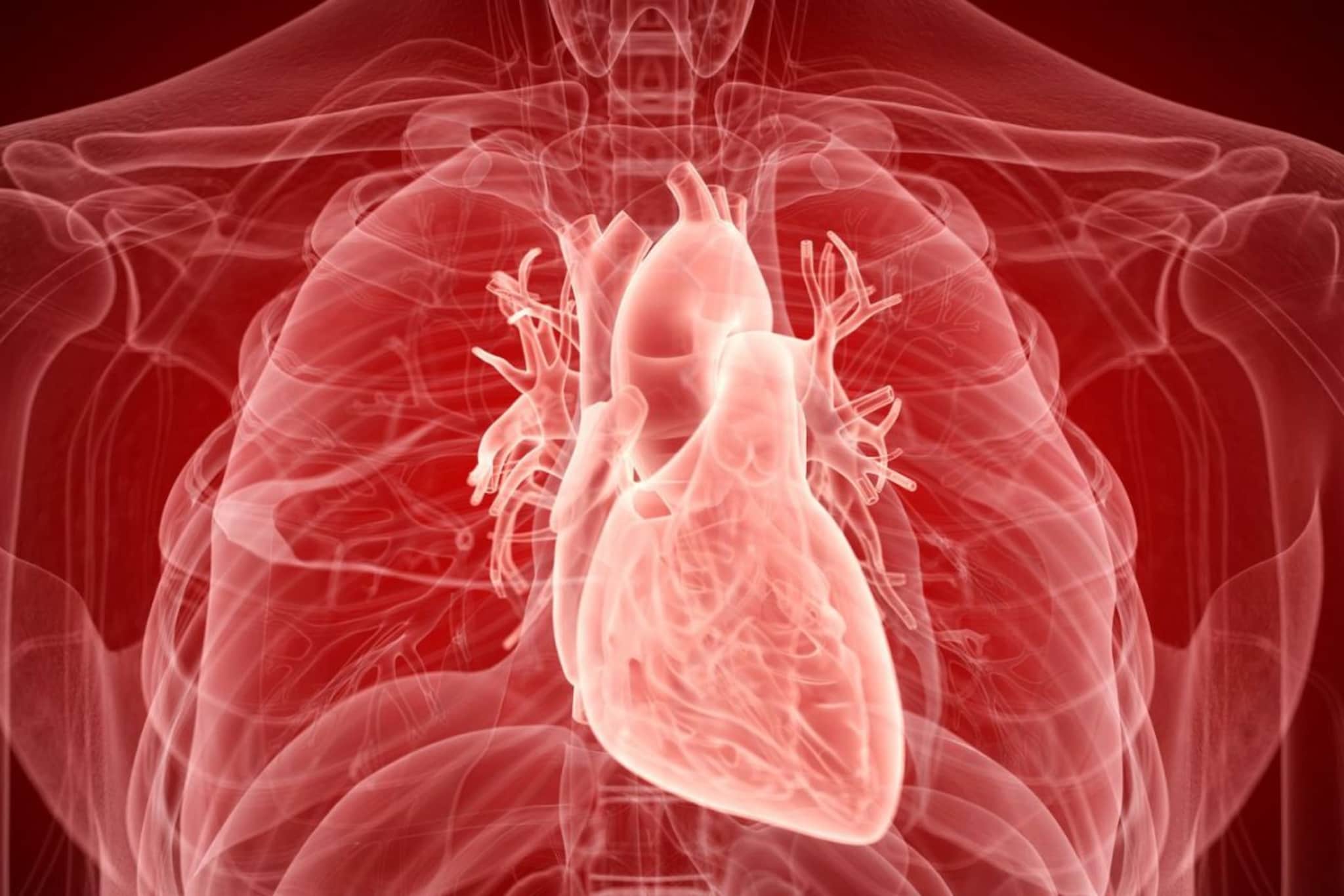 Heart Disease :हृदय-धमन्यांचं रिपोर्ट कार्ड, चार पद्धतींमुळे कळेल हृदयाची स्थिती