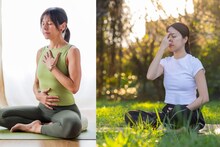 Bhramari : भ्रामरी प्राणायामानं मन होईल शांत, मानसिक आरोग्यासाठी उत्तम उपाय, ताणतणाव, चिंता होतील कमी