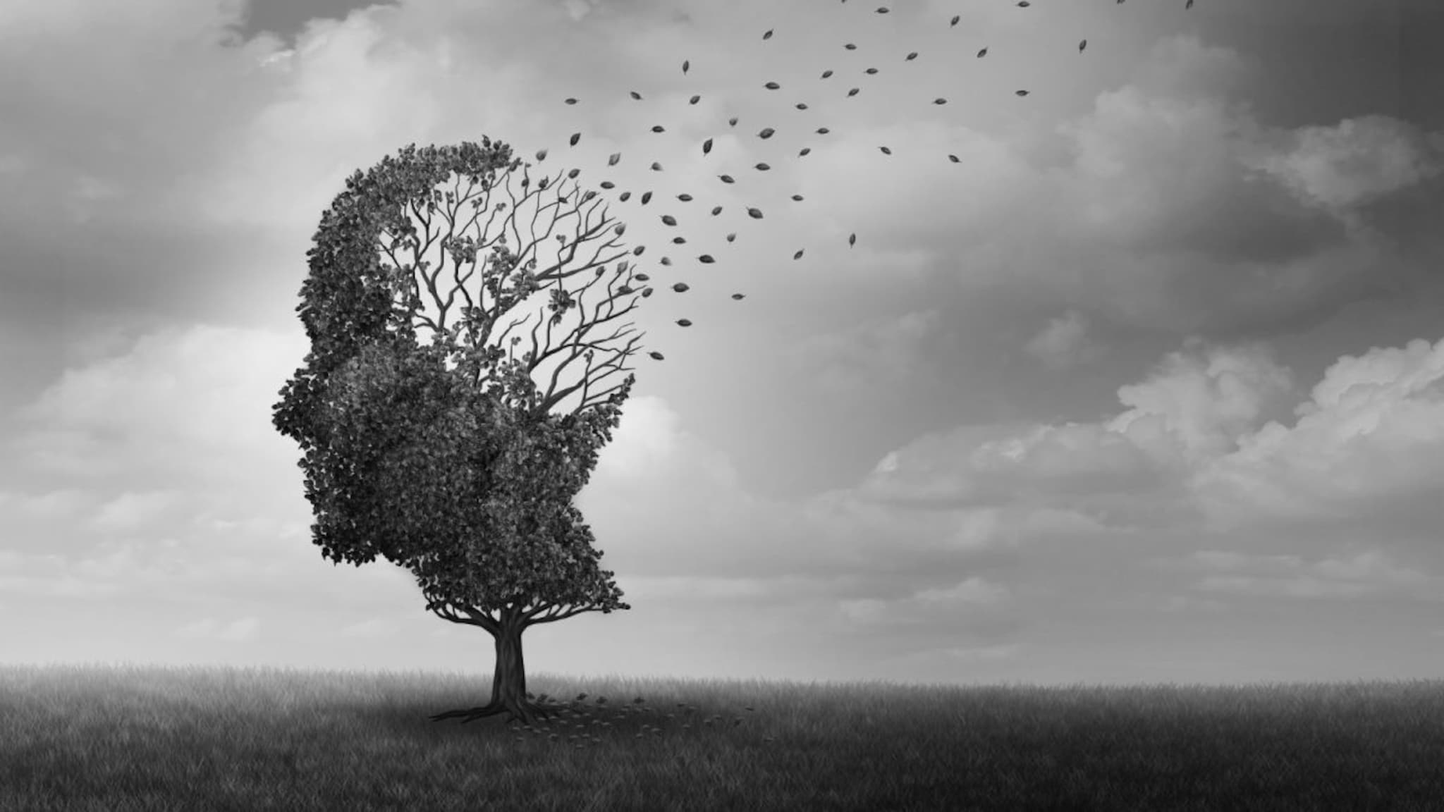 Alzheimer : विषारी हवेमुळे वाढतोय अल्झायमरचा धोका..अमेरिकेच्या संशोधनातून समोर आली मोठी माहिती, तब्बल अठरा वर्ष दोन कोटी नागरिकांवर सुरु होतं संशोधन