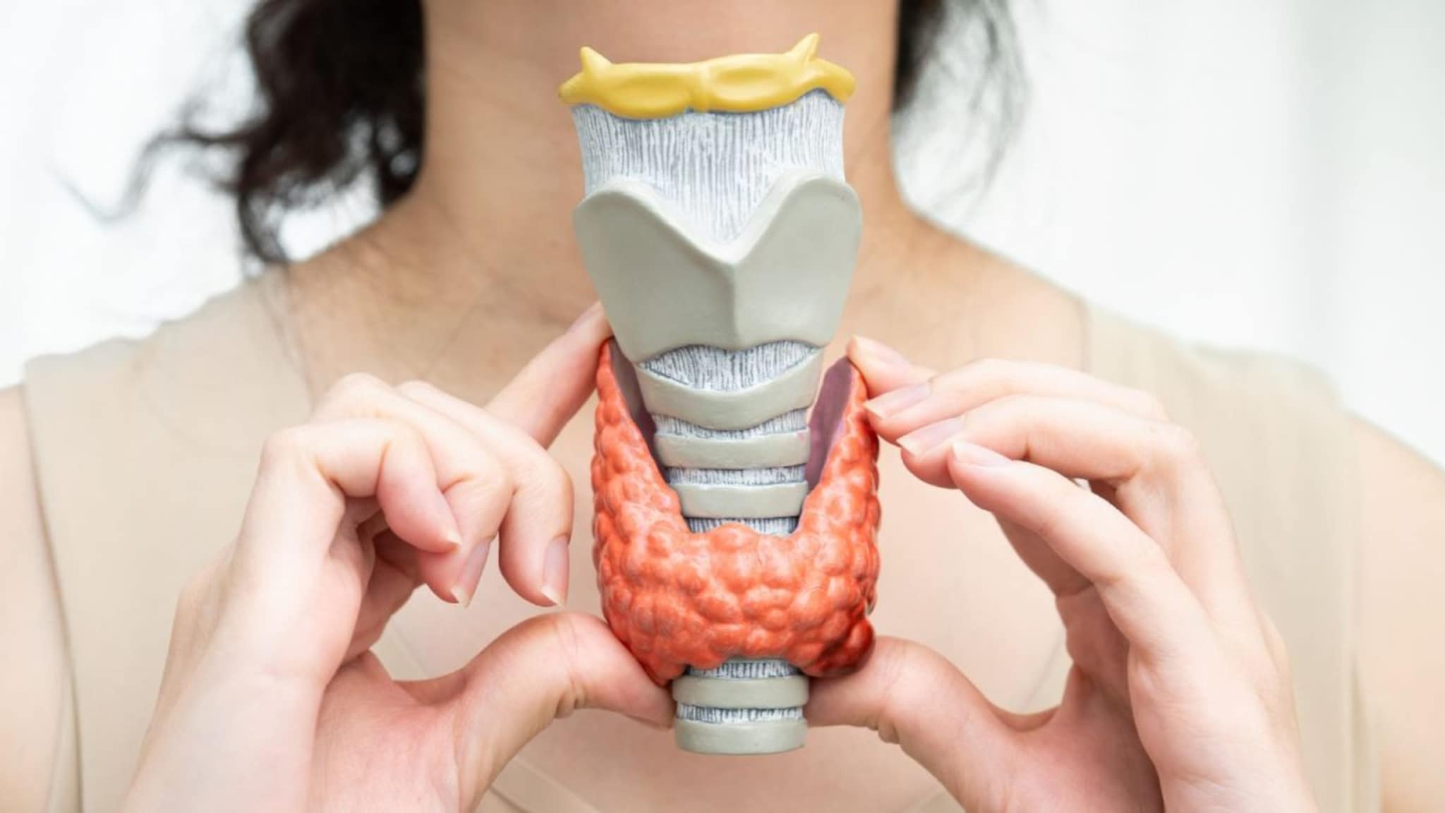 Thyroid : थायरॉईड आणि वजन वाढण्याचा संबंध काय ? हायपोथायरॉडिझममुळे वजन वाढतं का ?