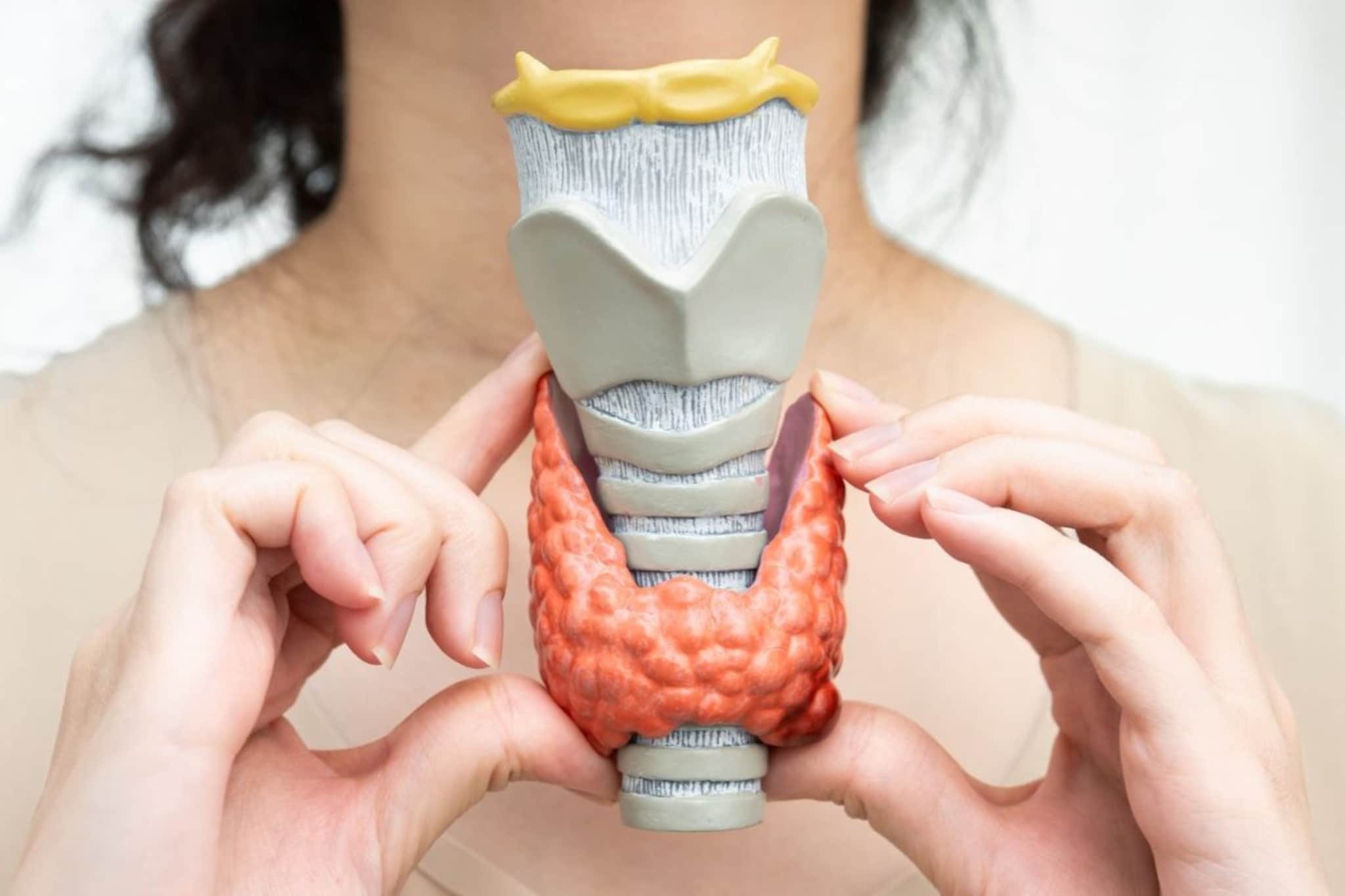 Thyroid : थायरॉईडमुळे वजन वाढतं पण का वाढतं ? जाणून घ्या शास्त्रीय कारण Thyroid : थायरॉईडमुळे वजन वाढतं पण का वाढतं ? जाणून घ्या शास्त्रीय कारण