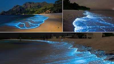 भारतातील चमकणारे समुद्रकिनारे..