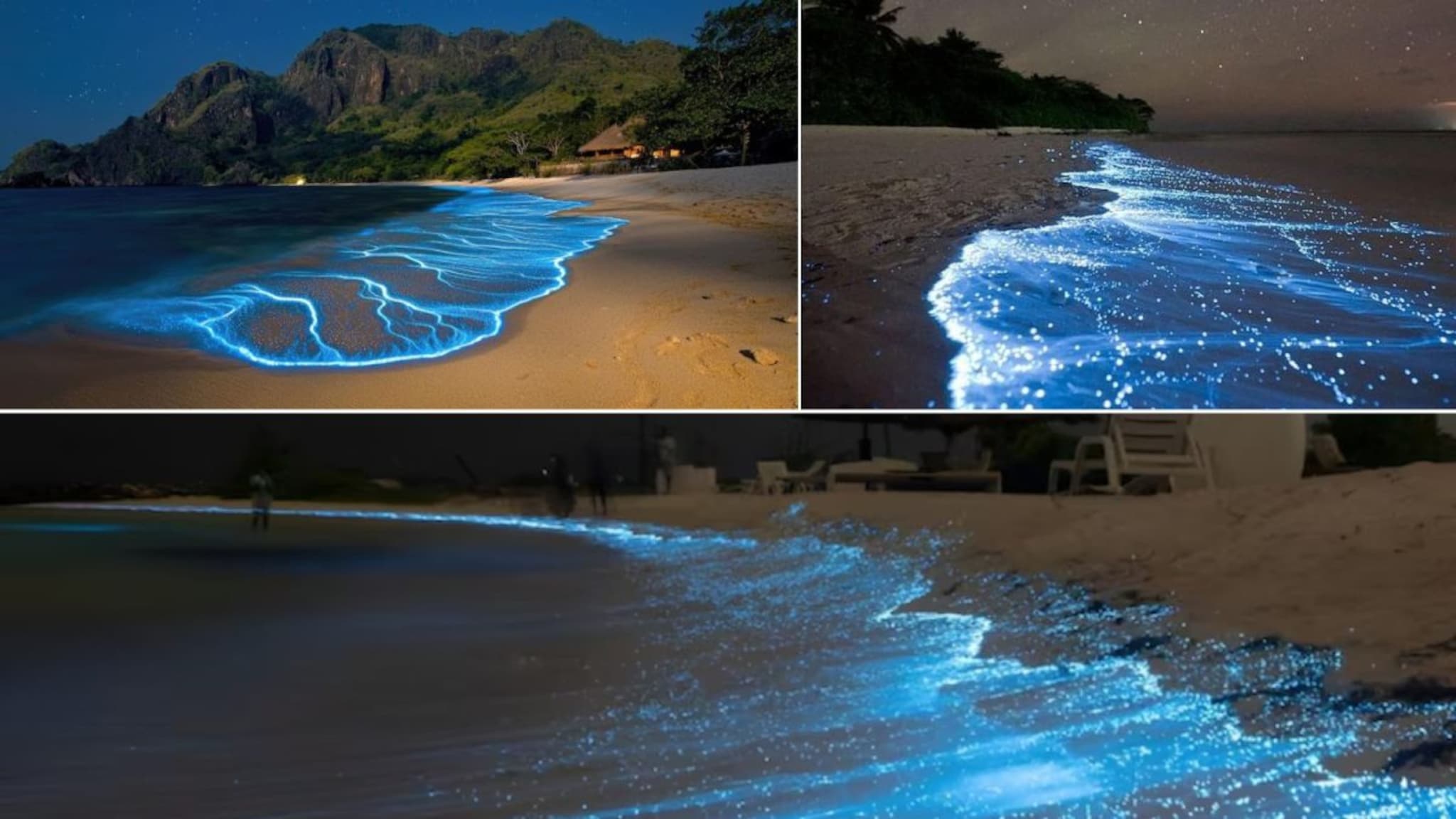 Beautiful Beaches : रात्रीच्यावेळी लायटिंगसारखे चमकतात भारतातील हे 7 बीच! परदेशातही दिसणार असे सुंदर दृश्य