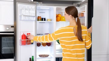 तुम्ही हे पदार्थ फ्रिज डोअरमध्ये ठेवता? लगेच करा बंद, तज्ज्ञांनी सांगितले धोके