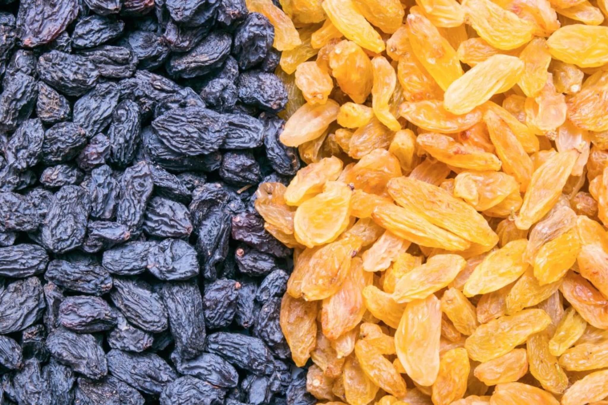 Raisins : शरीराच्या अंतर्बाह्य मजबुतीसाठी उत्तम, भिजवलेल्या मनुका खाण्याचे फायदे