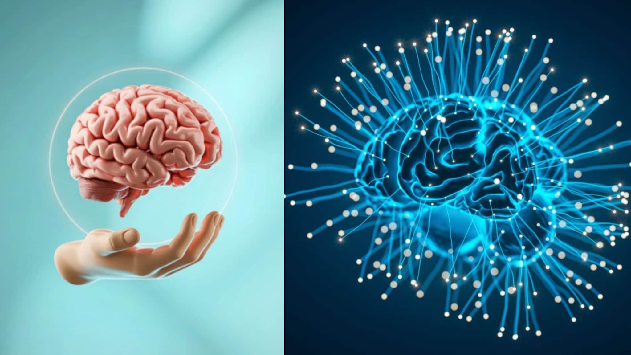 Brain Health : तक्रार करण्यामुळे होतो मेंदूवर परिणाम, बरोबर वाचलंत, तक्रार करण्याच्या आधी विचार करा