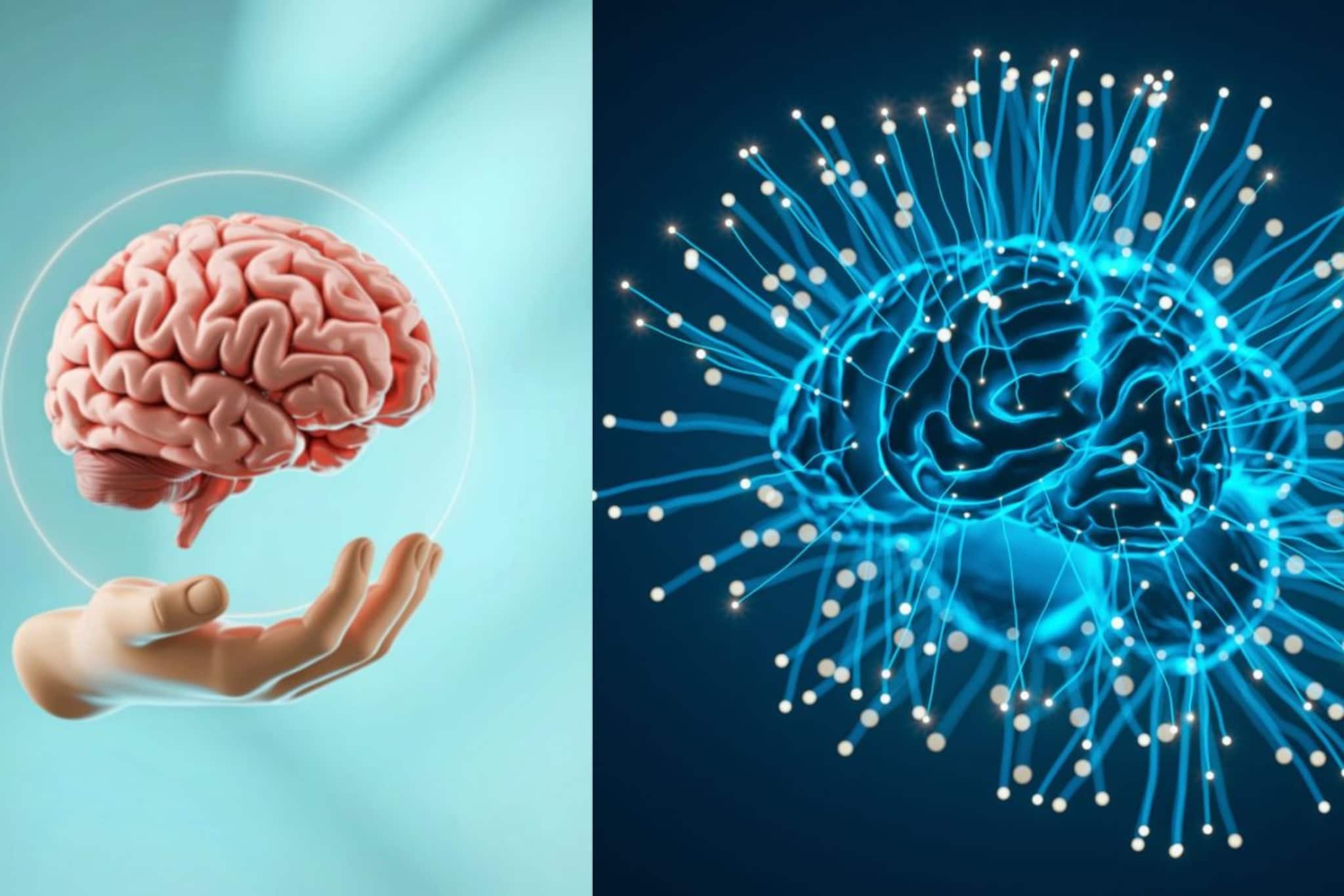 Brain Health : तक्रार केल्यानं मेंदू होतो नकारात्मक, जाणून घ्या कसा होतो परिणाम