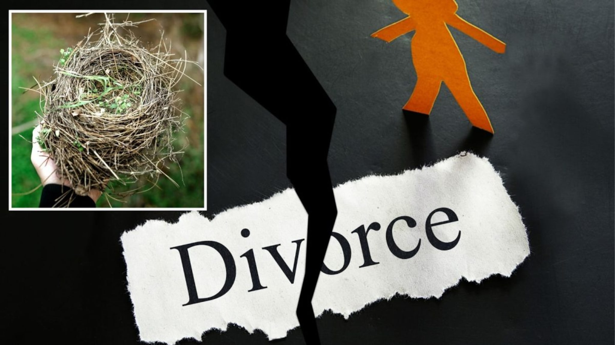 Empty Nest Divorce : कपल्समध्ये वाढतंय एम्प्टी नेस्ट डिवोर्सचं प्रमाण! घटस्फोटाच्या या नव्या टर्मचा नेमका अर्थ काय? Empty Nest Divorce : कपल्समध्ये वाढतंय एम्प्टी नेस्ट डिवोर्सचं प्रमाण! घटस्फोटाच्या या नव्या टर्मचा नेमका अर्थ काय?