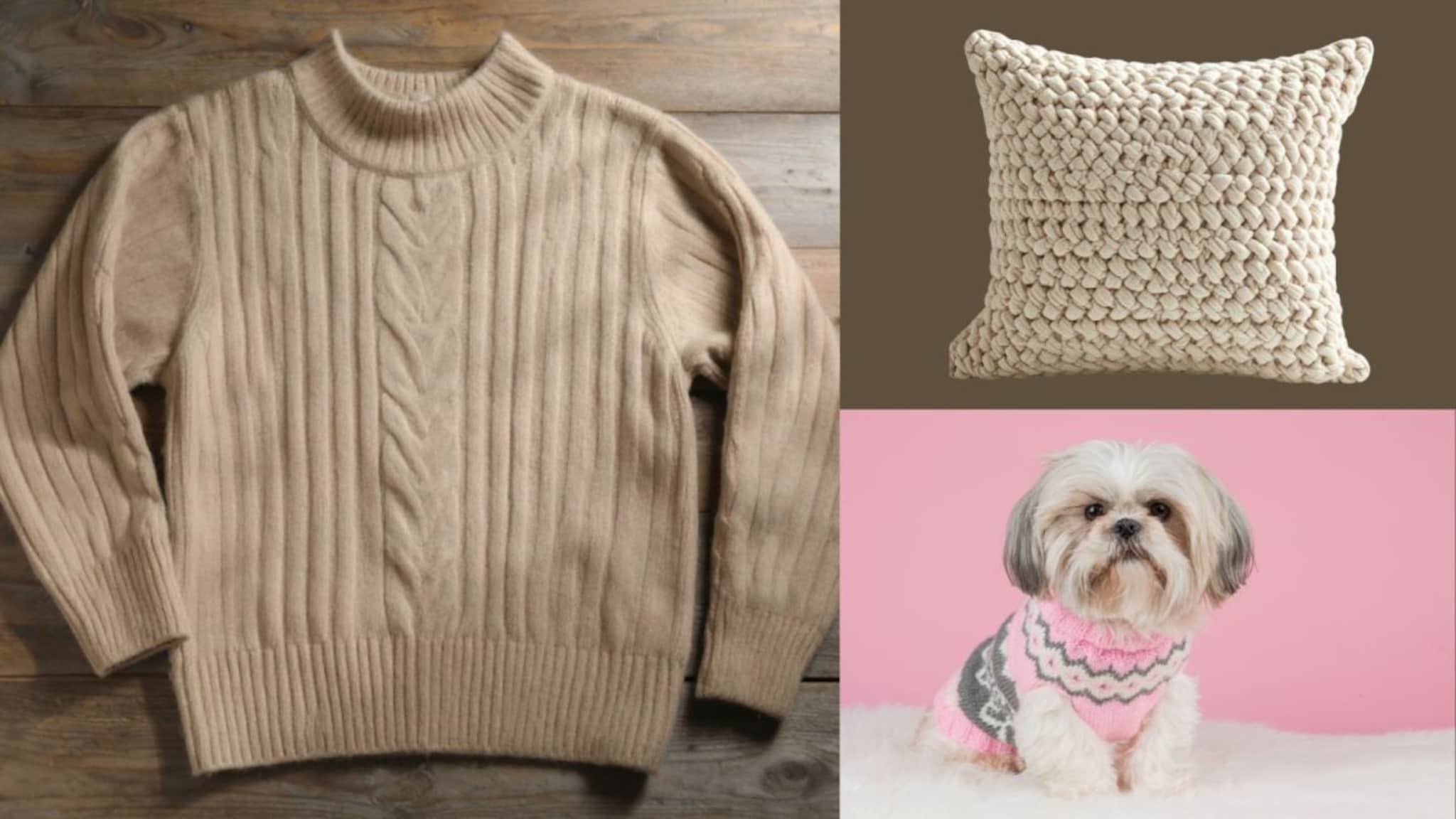 Smart Tricks : थंडीत वापरलेलं स्वेटर जुनं झालंय? फेकू नका, 'या' खास पद्धतीने पुन्हा करता येईल वापर..