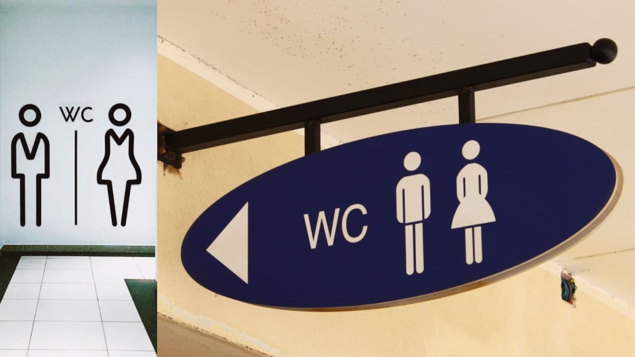 Interesting Facts : बाथरूम-वॉशरूम समजलं, पण 'WC' चा नेमका अर्थ काय आहे? हे चिन्ह कुठे आणि का वापरतात?