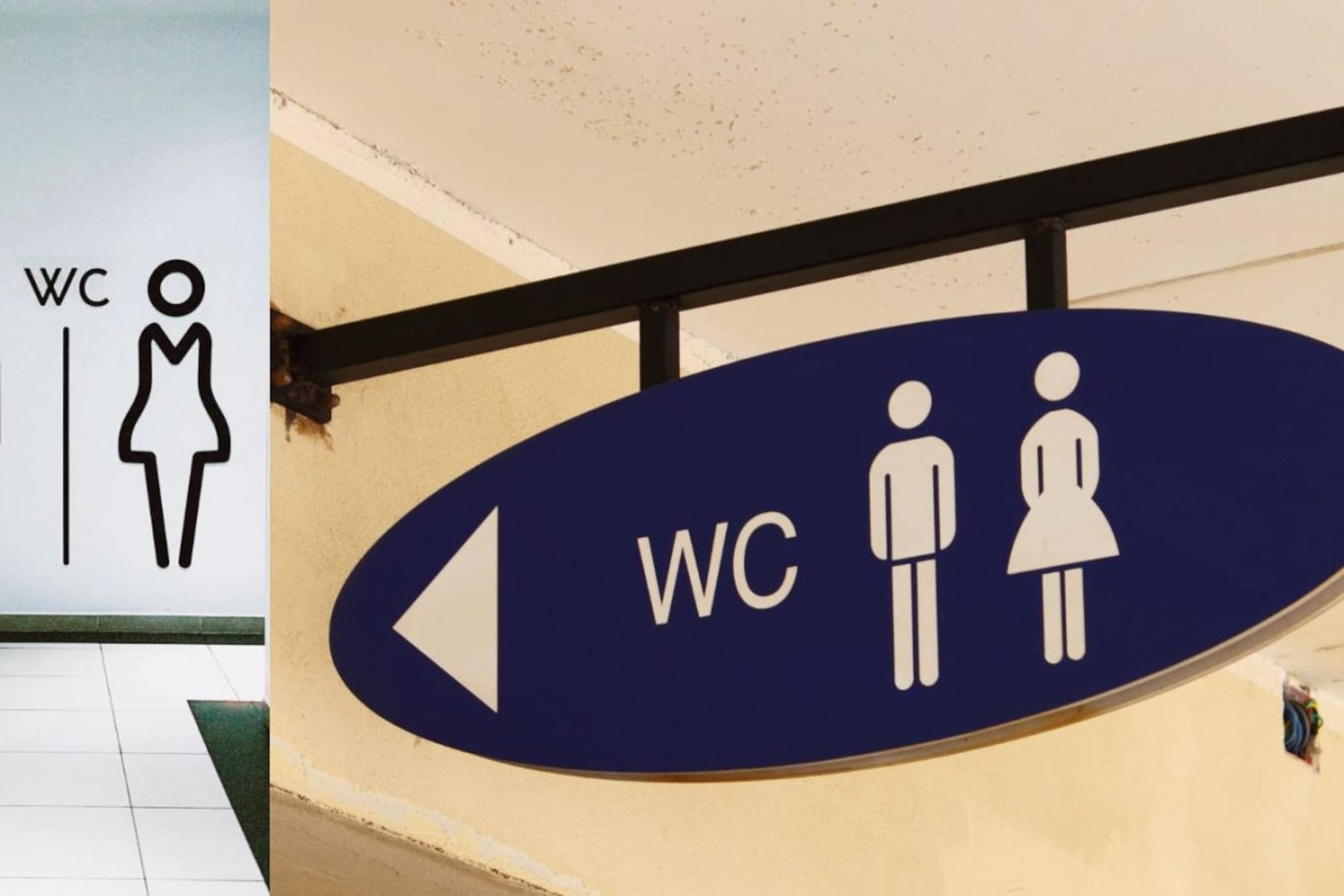 बाथरूम-वॉशरूम समजलं, पण 'WC' चा नेमका अर्थ काय आहे? हे चिन्ह कुठे आणि का वापरतात