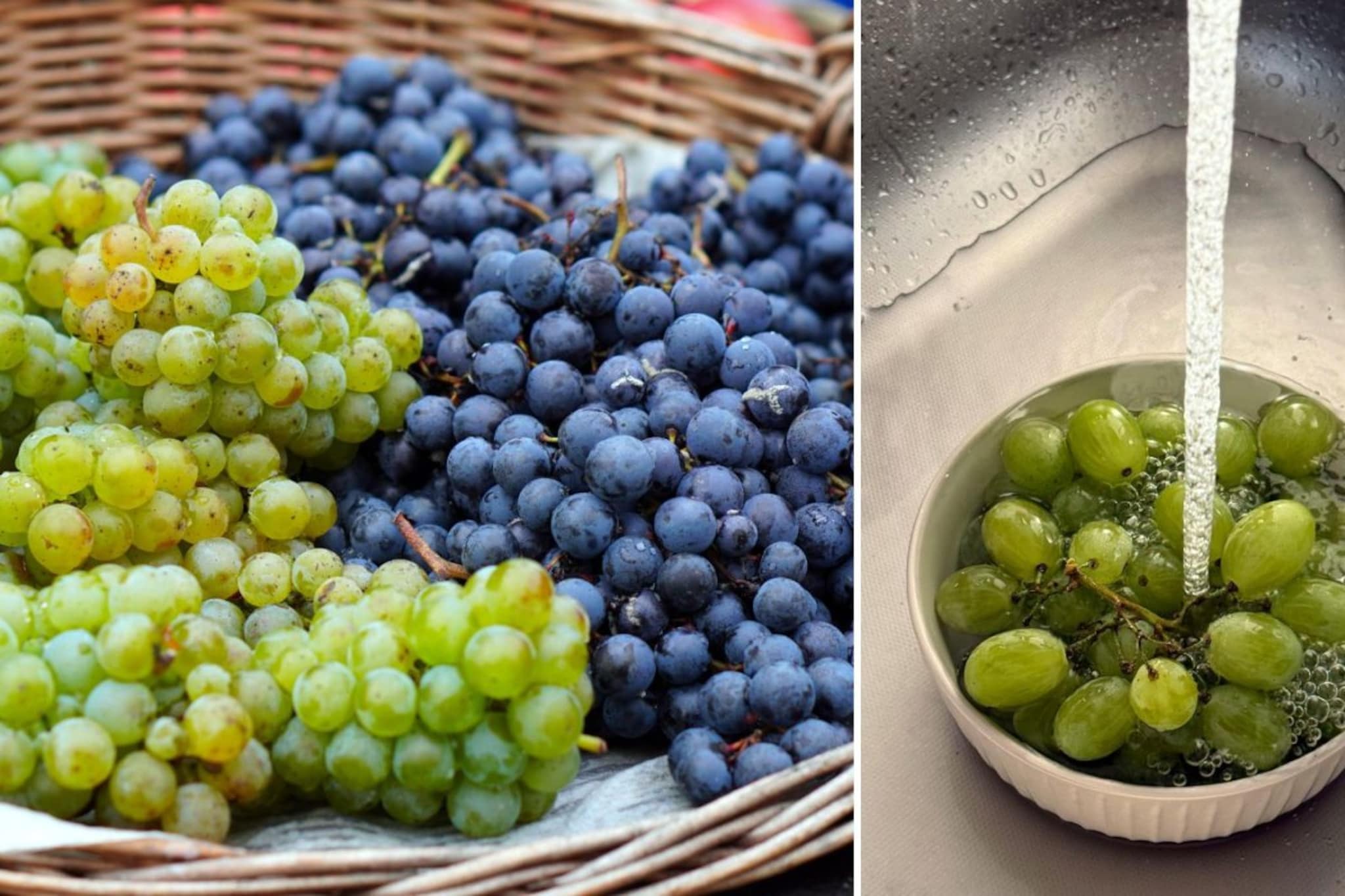 द्राक्ष फक्त पाण्यात टाकून धुणं पुरेसं नाही, पाहा स्वच्छ करण्याची अचूक पद्धत