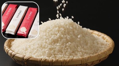 जगातील सर्वात महागडा तांदूळ जगातील सर्वात महागडा तांदूळ