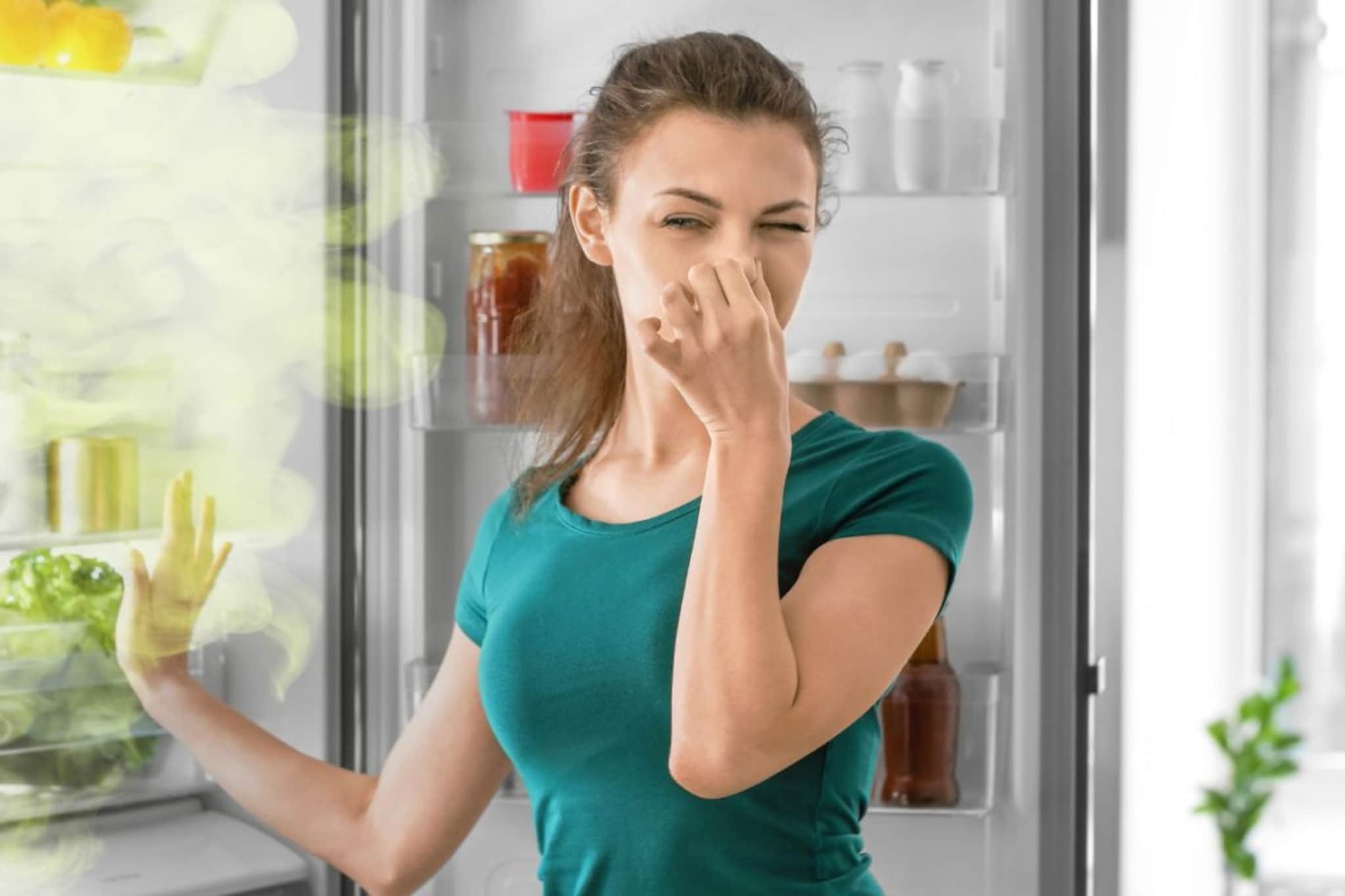 फ्रिजमधून वास येतो, कशामुळे कळत नाही? टेन्शन सोडा, हे सोपे उपाय क्षणांत घालवतील फ्रिजमधून वास येतो, कशामुळे कळत नाही? टेन्शन सोडा, हे सोपे उपाय क्षणांत घालवतील