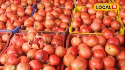 Pomegranate Prices Soar to 13250 Rupees; Ginger, Grape Market Updates Revealed