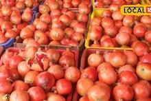 APMC Market : डाळिंबास 13250 रुपये भाव, आले आणि द्राक्षाची काय स्थिती? इथं चेक करा