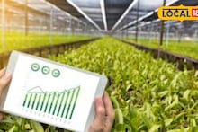 Online शेतमाल विकताय? हा स्कॅम तुमच्यासोबतही होऊ शकतो, हे एकदा वाचाच