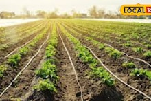 Agriculture News : शेतीत अपयश का येते? कोणत्या होतात व्यावसायिक चुका, कृषी तज्ज्ञांचा मोलाचा सल्ला, Video