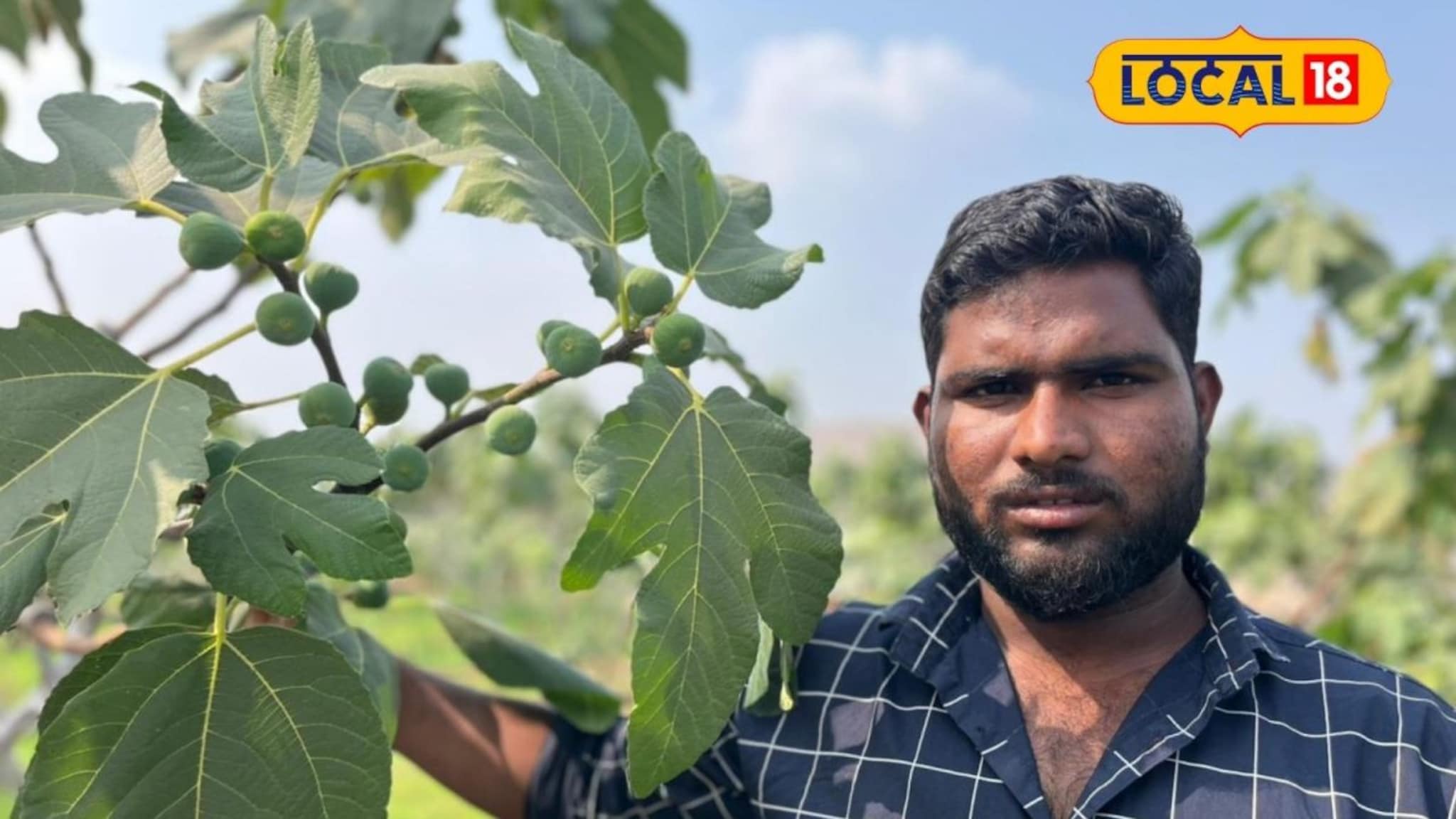 Agriculture Success: मराठवाड्यातील शेतकऱ्याची कमाल, खडकाळ माळावर पिकवल ‘सोनं’, 30 गुंठ्यात कमाई लाखात